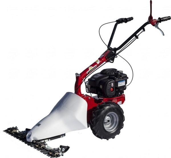 Eurosystem M 210 // 5.5Hp Honda Motorlu Çayır Biçme Makinası